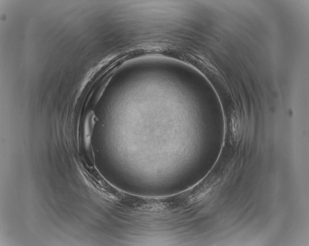 X0000062170492200512091434