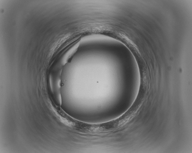 X0000062170493200512091434