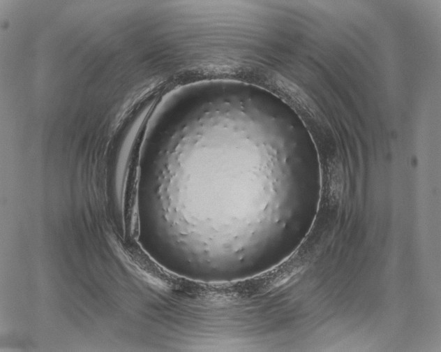 X0000062170494200512091434