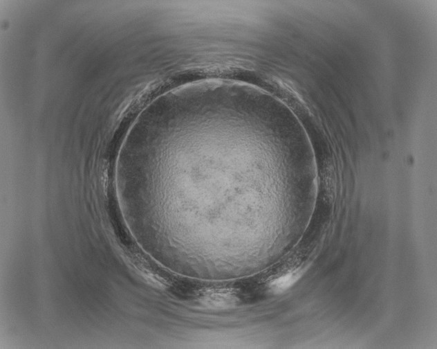 X0000062170495200512091434