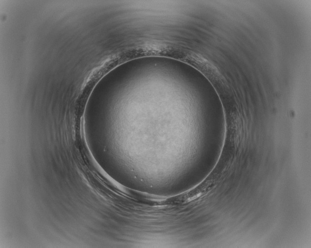 X0000062170496200512091434