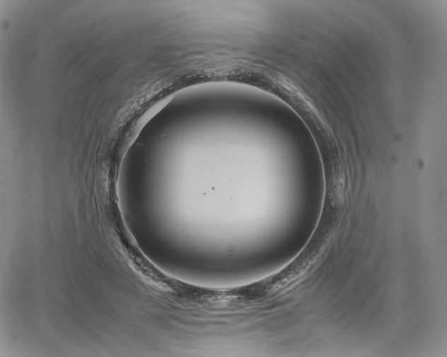 X0000062170497200512091434