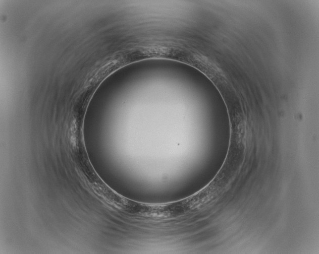 X0000062170498200512091434