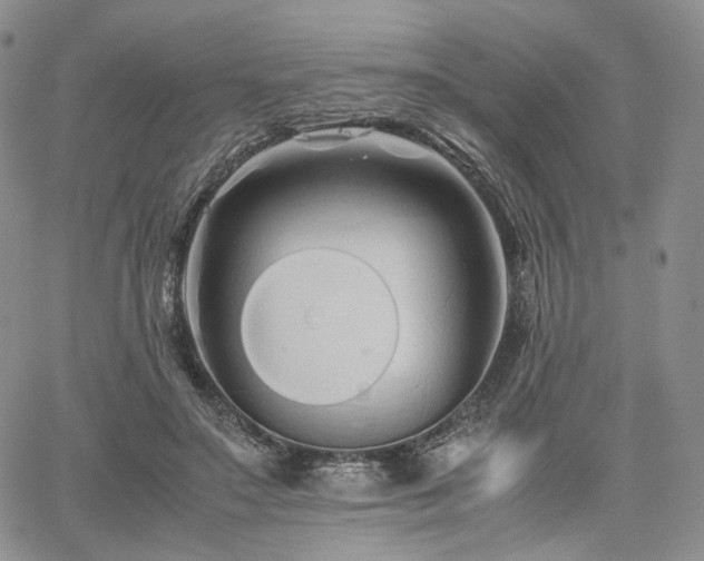 X0000062170499200512091434