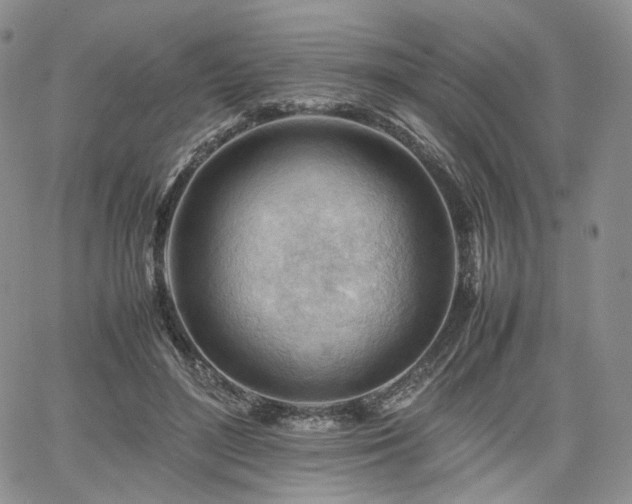 X0000062170500200512091434