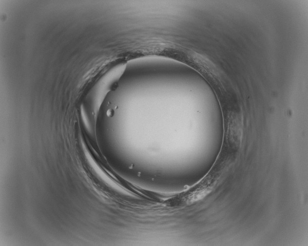 X0000062170501200512091434