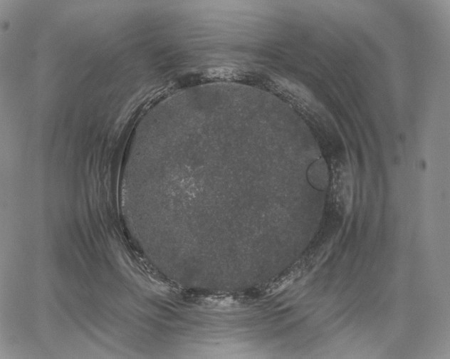 X0000062170502200512091434