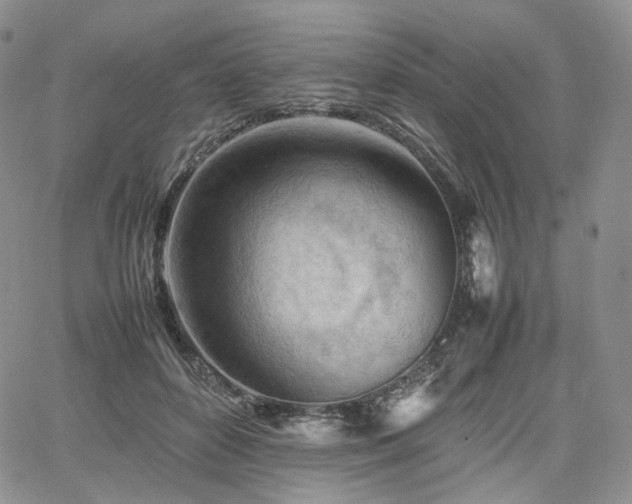 X0000062170504200512091433