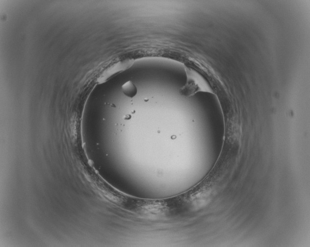 X0000062170505200512091433