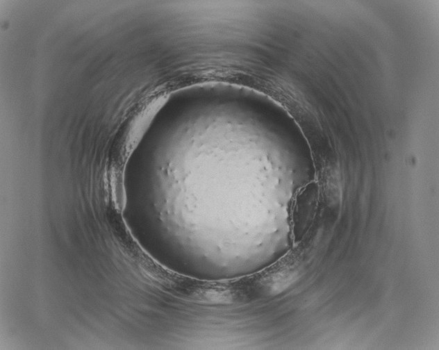 X0000062170506200512091433