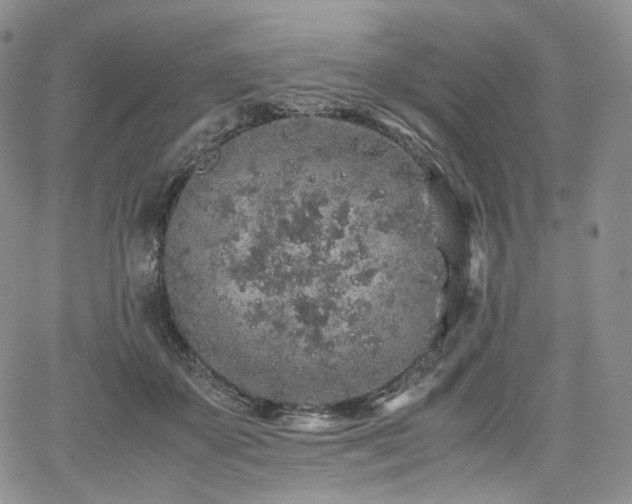 X0000062170507200512091433