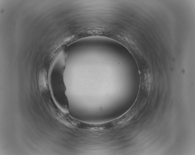 X0000062170508200512091433