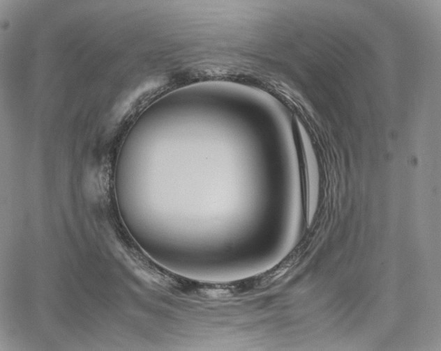 X0000062170509200512091433