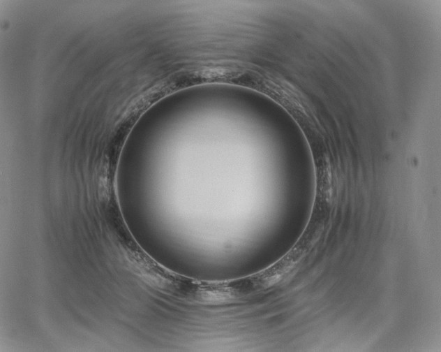 X0000062170510200512091433