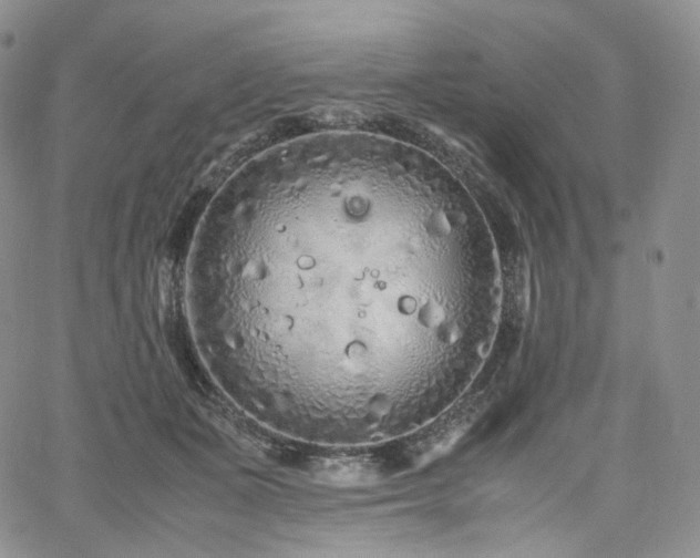 X0000062170511200512091433