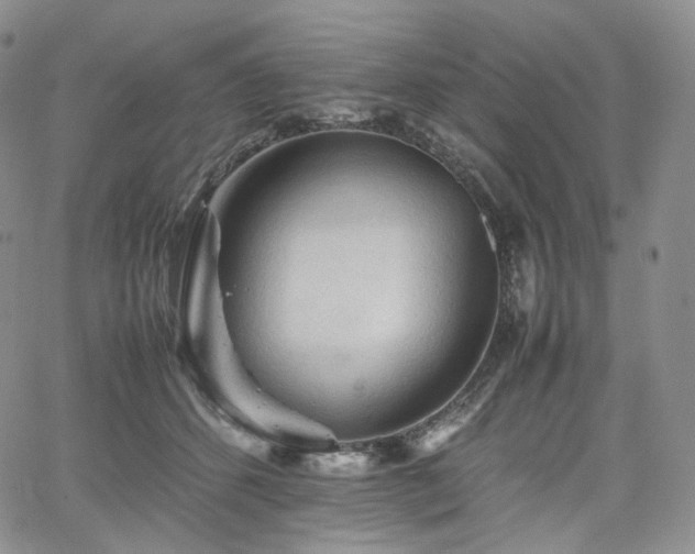 X0000062170512200512091433