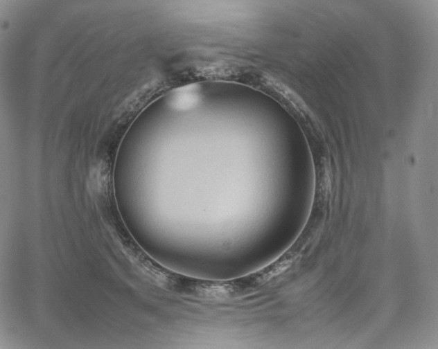 X0000062170513200512091433