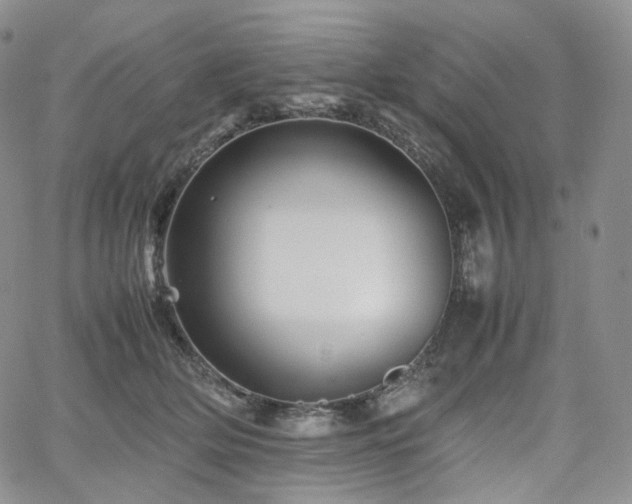 X0000062170514200512091433