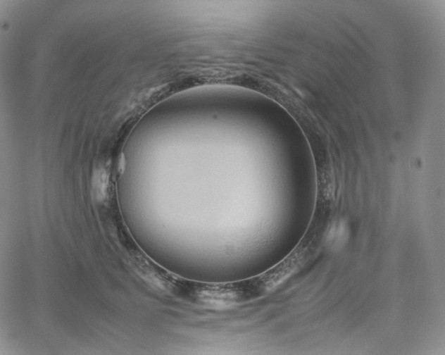 X0000062170515200512091433