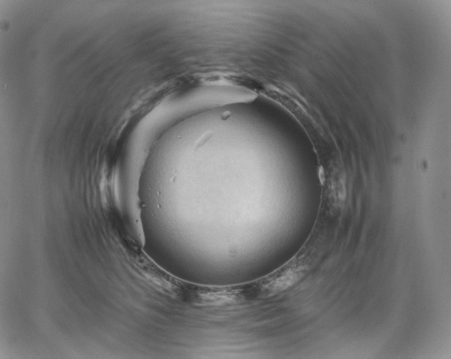 X0000062170516200512091433