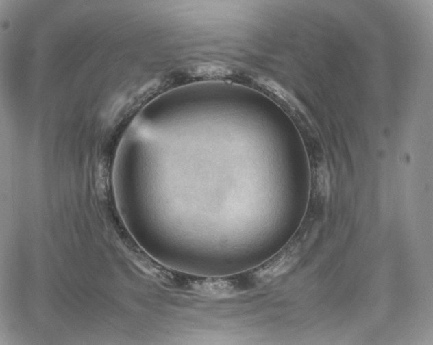 X0000062170517200512091433