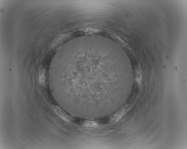 X0000062170519200512091433