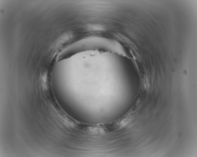 X0000062170520200512091433