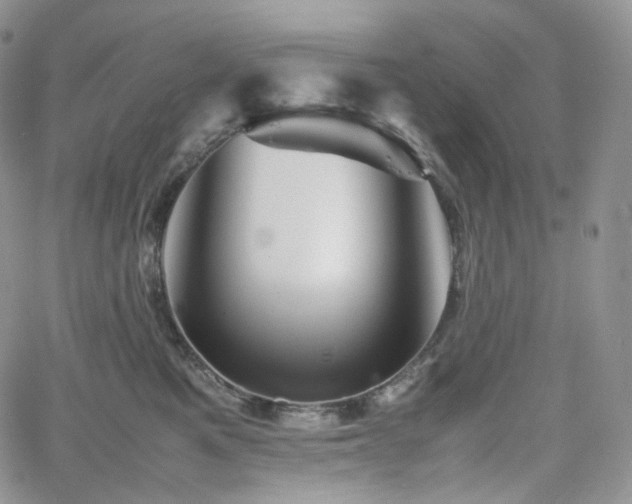 X0000062170521200512091433