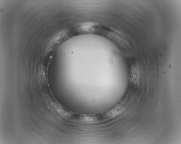 X0000062170522200512091433