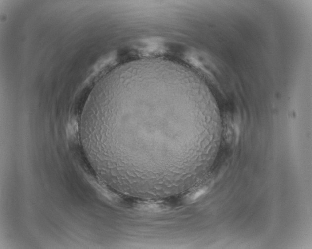 X0000062170523200512091433