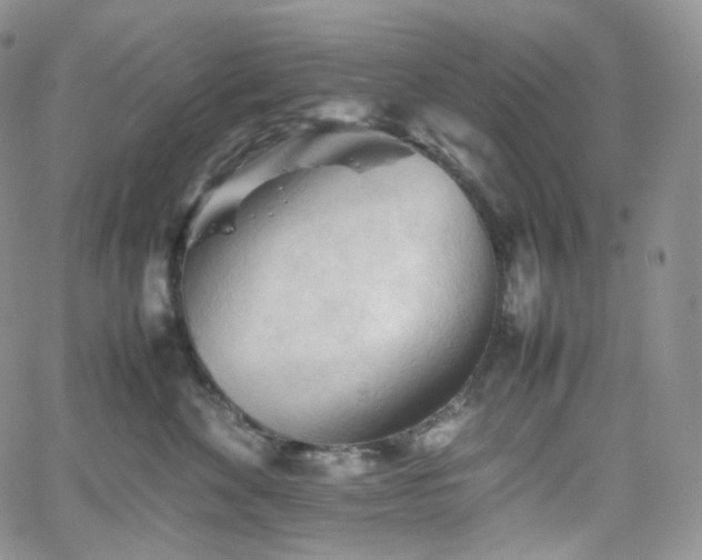 X0000062170524200512091433