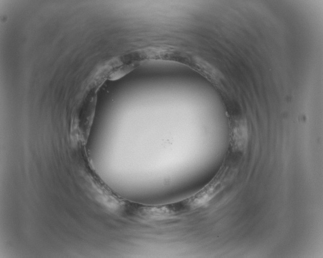 X0000062170525200512091433