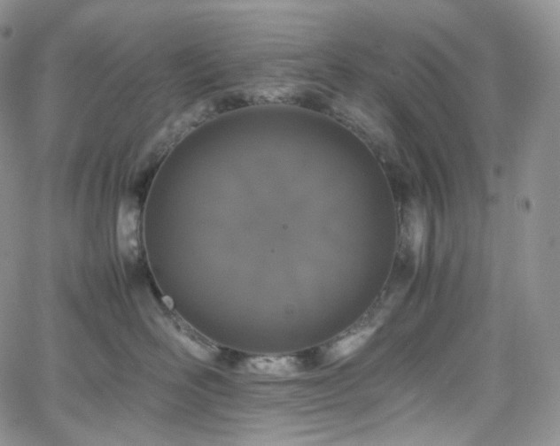 X0000062170526200512091433