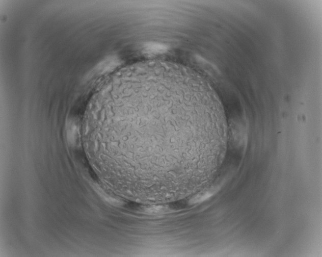 X0000062170527200512091433