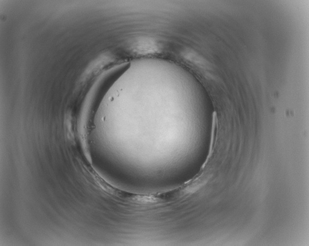 X0000062170528200512091433