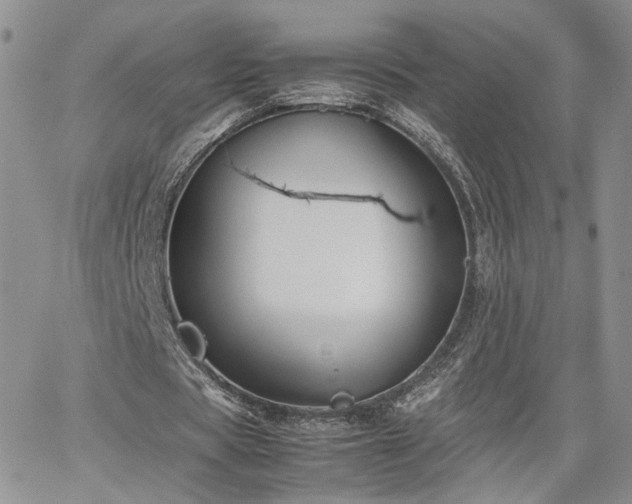 X0000062170529200512091432