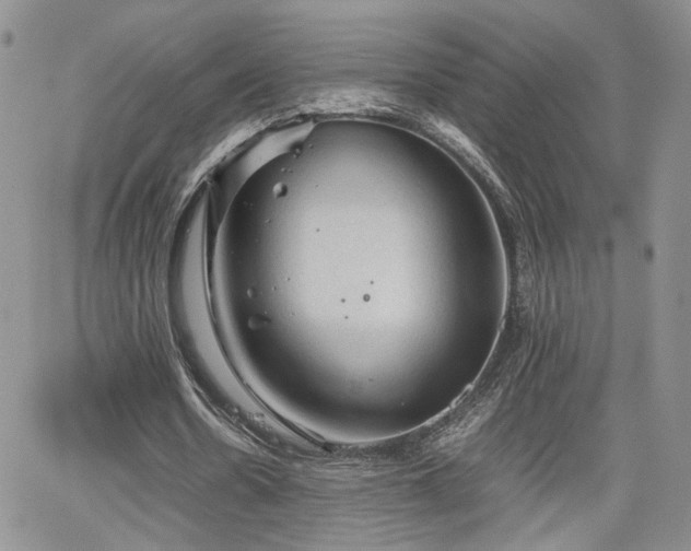 X0000062170530200512091432