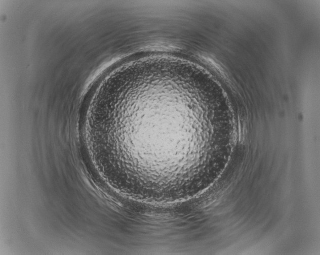 X0000062170531200512091432