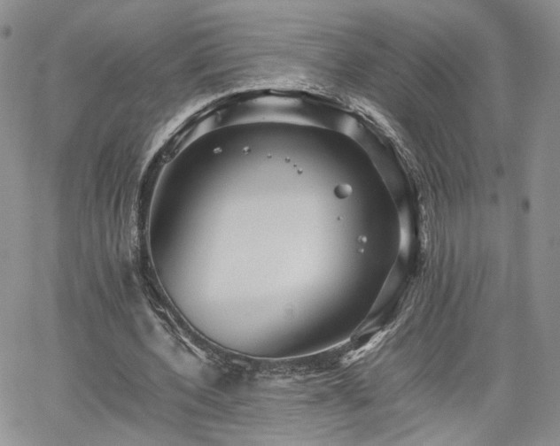 X0000062170532200512091432