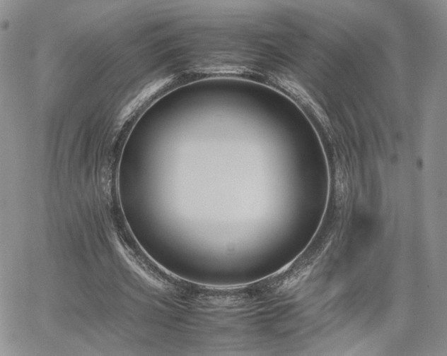 X0000062170533200512091432