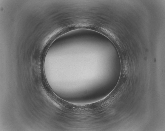 X0000062170535200512091432