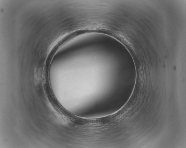 X0000062170536200512091432