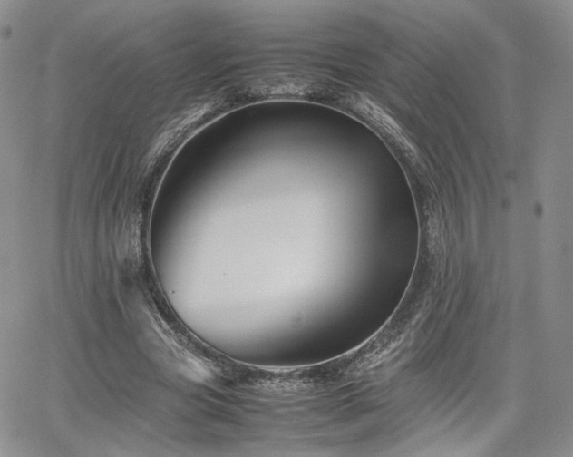 X0000062170537200512091432