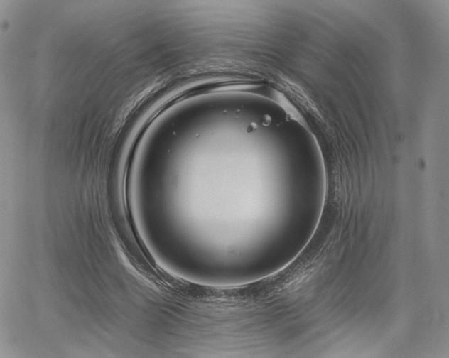 X0000062170538200512091432