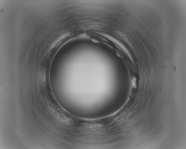 X0000062170539200512091432