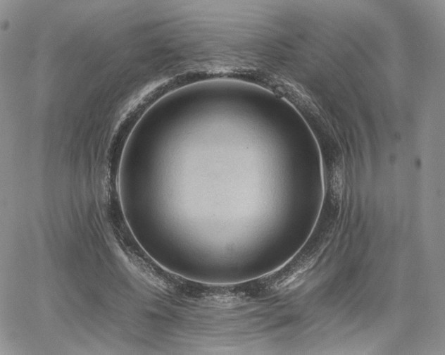 X0000062170540200512091432