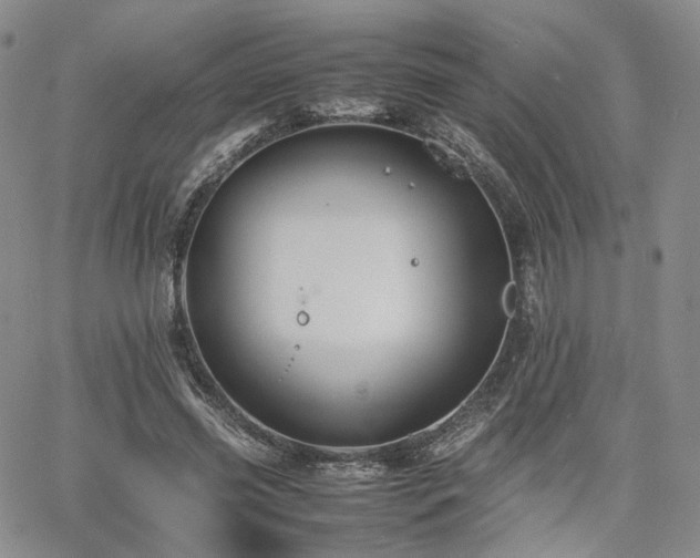 X0000062170541200512091432