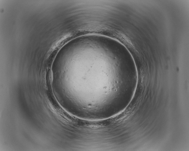 X0000062170542200512091433