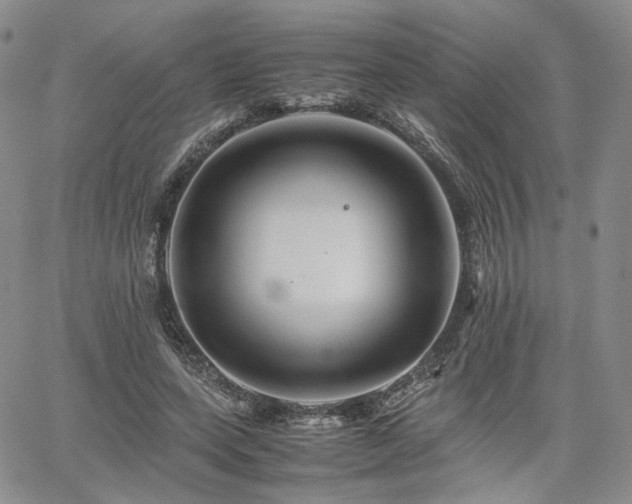 X0000062170543200512091433