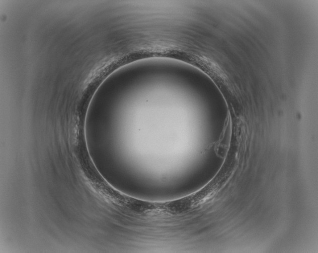 X0000062170544200512091433